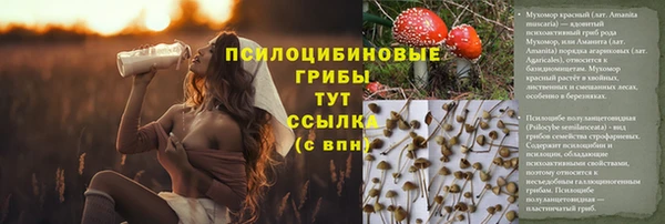 a pvp Каменск-Шахтинский