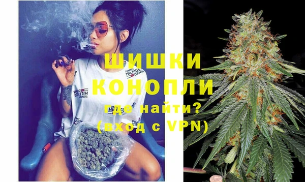 тгк Каменка
