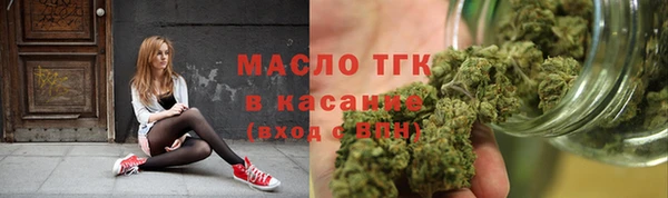 тгк Каменка