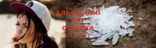 mdpv Каменногорск