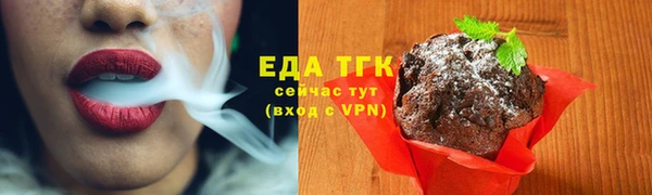mdpv Каменногорск