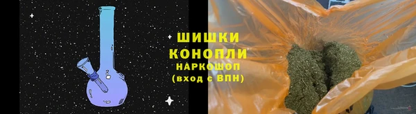 тгк Каменка