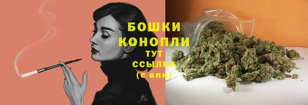 тгк Каменка