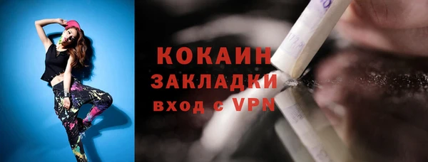 тгк Каменка
