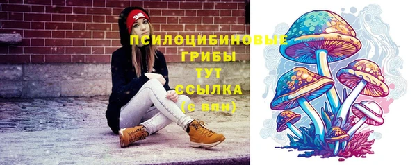 тгк Каменка