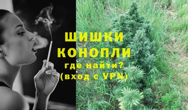 тгк Каменка