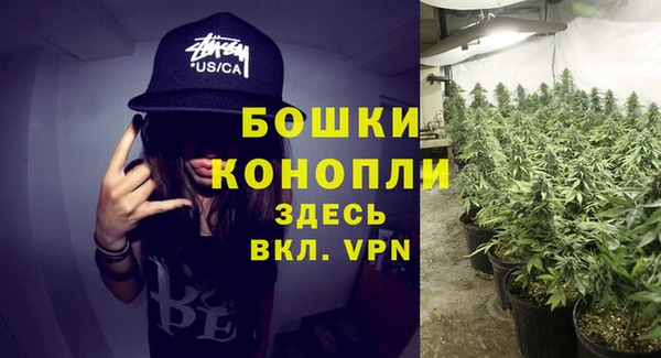 mdpv Каменногорск