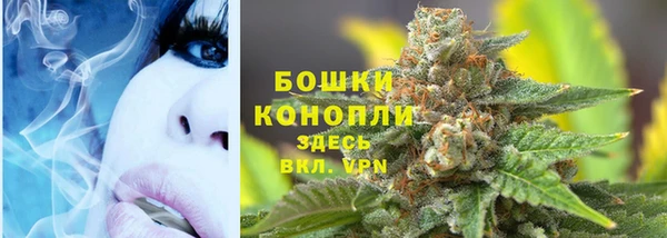 mdpv Каменногорск