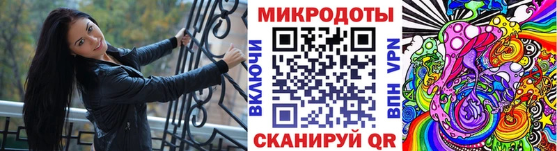 Галлюциногенные грибы Psilocybe  Купить  Стародуб 